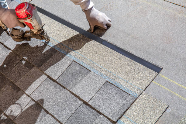 Professional Roofing Contractor in Indian Head Park, IL